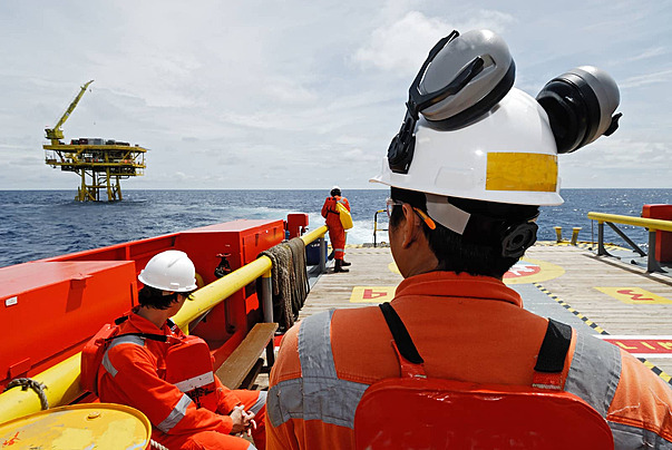 Field surveys and consulting